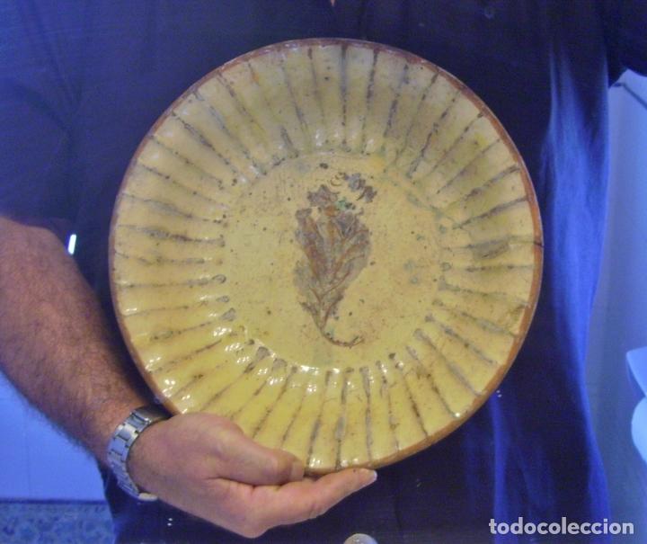 Antig&uuml;edades: PLATO  DE  TERRISSA  CATALANA  XIX - Foto 9