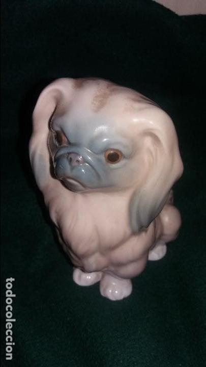 Antig&uuml;edades: perro pekines-pequines lladro - Foto 1