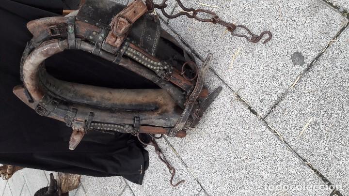 Antig&uuml;edades: collaron , collera de tiro de caballerias - Foto 2