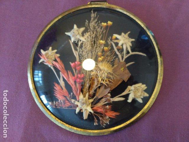 Antig&uuml;edades: CUADRO CON FLOR EDELWEISS 13CM