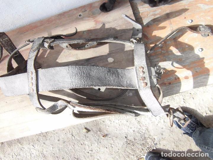 Antig&uuml;edades: cabezada antigua - Foto 2
