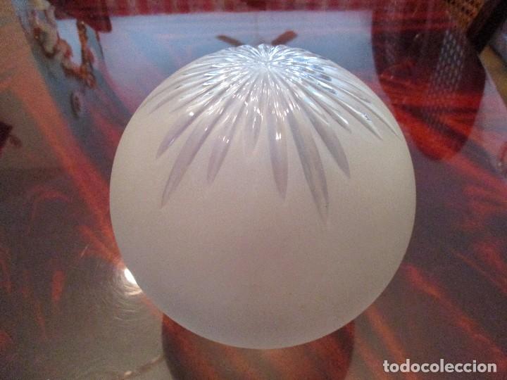 Antig&uuml;edades: +tulipa cristal tallado - Foto 1