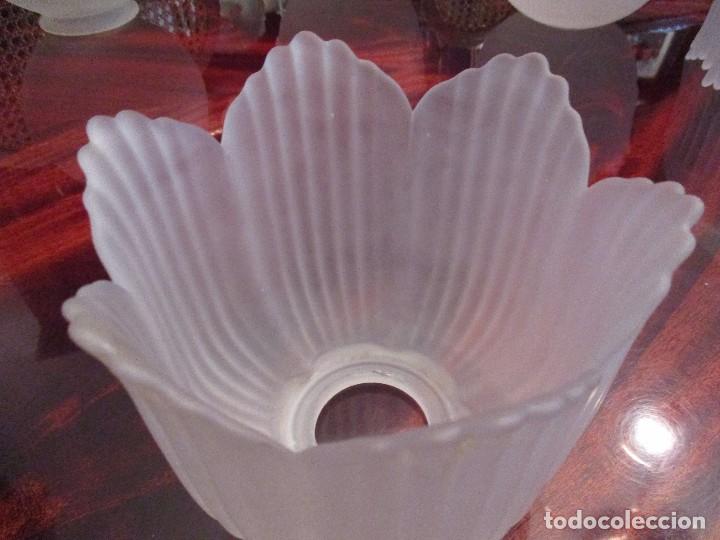 Antig&uuml;edades: tulipa de cristal esmerilado - Foto 1