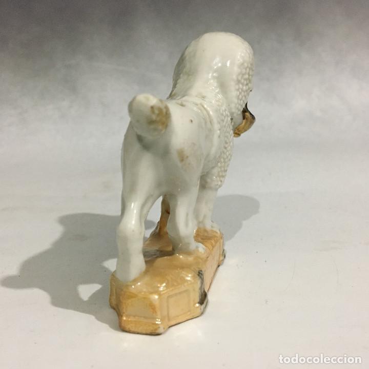 Antig&uuml;edades: PALILLERO DE SARGADELOS PERRO CANICHE - Foto 4