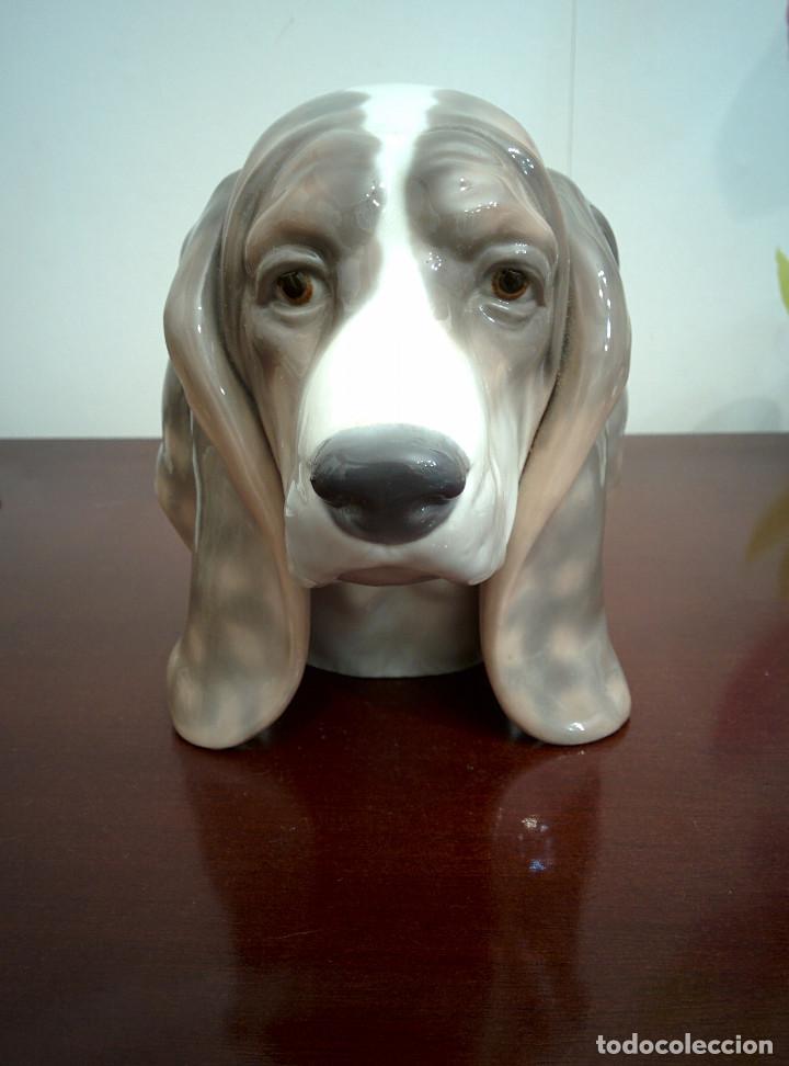 Antig&uuml;edades: Cabeza de perro - Foto 1