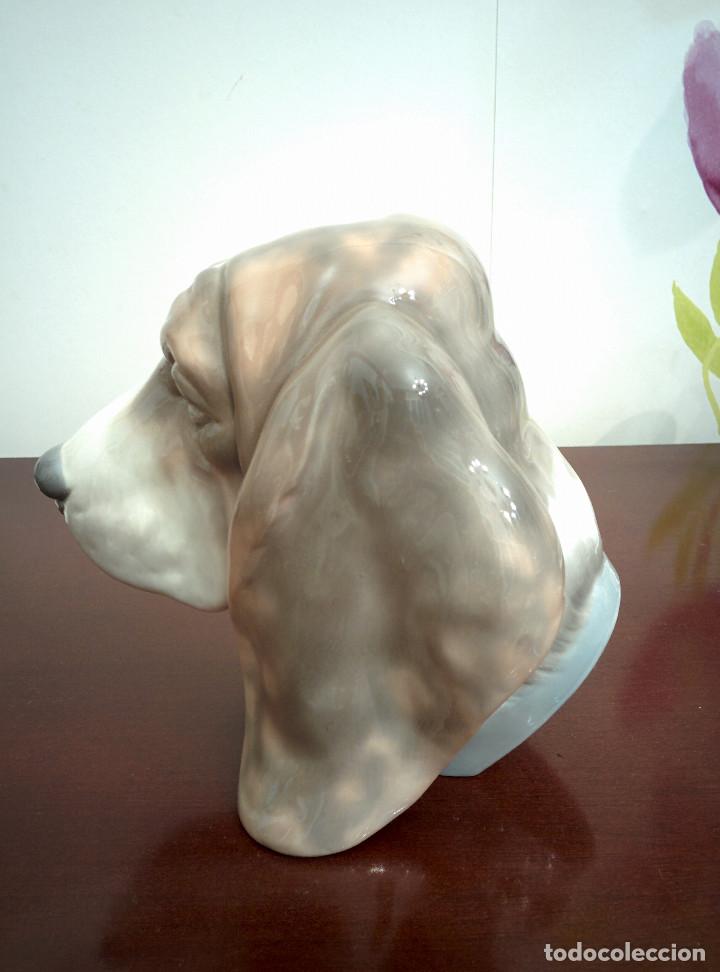 Antig&uuml;edades: Cabeza de perro - Foto 2
