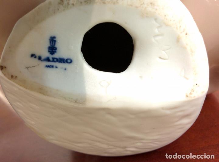 Antig&uuml;edades: Cabeza de perro - Foto 3