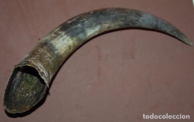 Antig&uuml;edades: ASTA DE TORO HUECA-01 - Foto 1