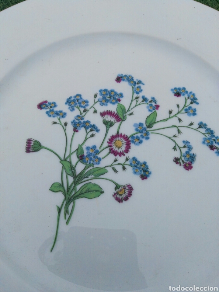 Antig&uuml;edades: Plato limoges porcelana - Foto 2