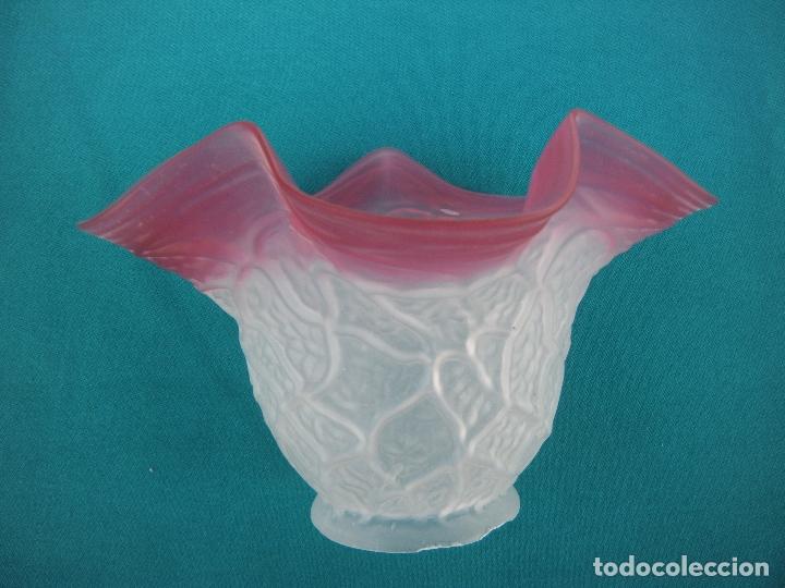 Antig&uuml;edades: ANTIGUA TULIPA RIZADA BICOLOR. - Foto 1