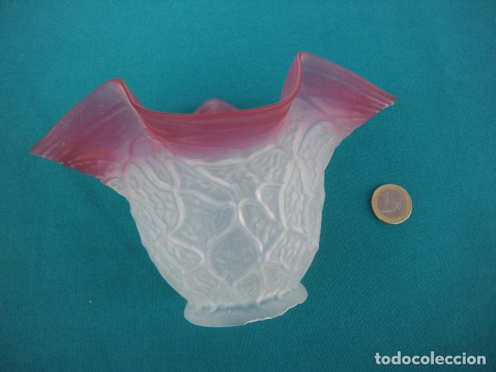 Antig&uuml;edades: ANTIGUA TULIPA RIZADA BICOLOR. - Foto 2
