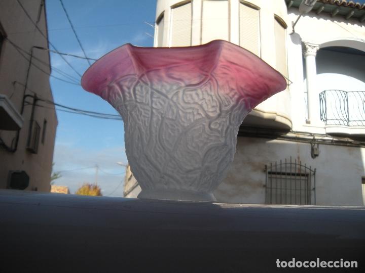 Antig&uuml;edades: ANTIGUA TULIPA RIZADA BICOLOR. - Foto 5