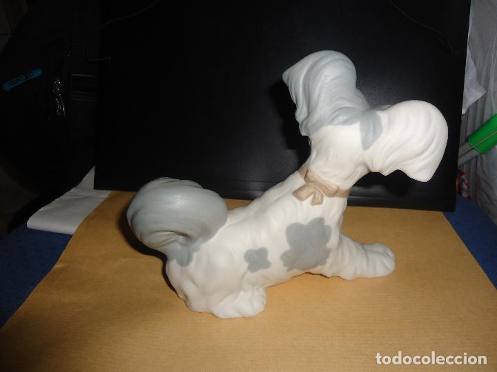 Antig&uuml;edades: PERRO PORCELANA LLADRO - Foto 5