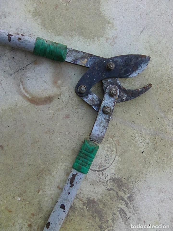Antig&uuml;edades: Tijeras de podar de gran alzada - Foto 2