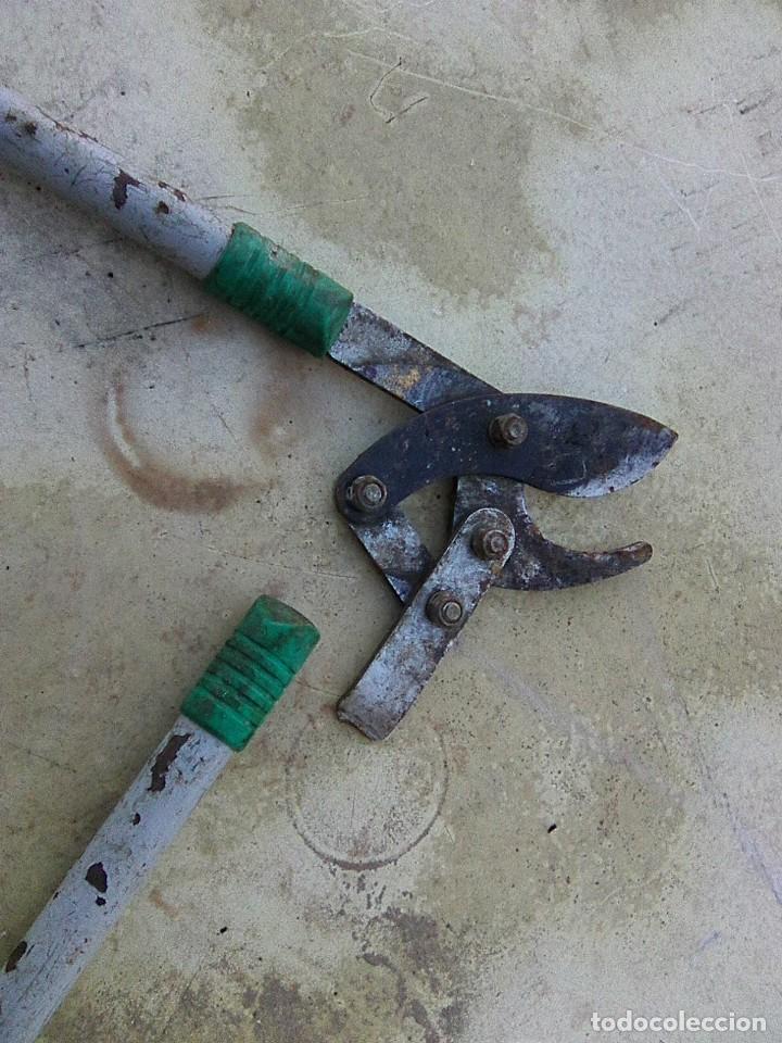 Antig&uuml;edades: Tijeras de podar de gran alzada - Foto 3