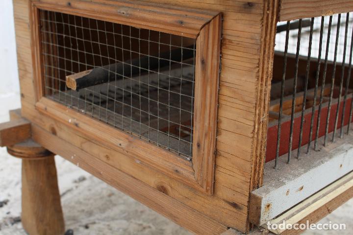 Antig&uuml;edades: jaula h&oacute;rreo - Foto 12