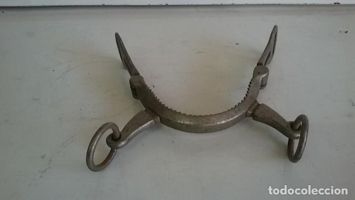 Antig&uuml;edades: Serreta para caballo. - Foto 1