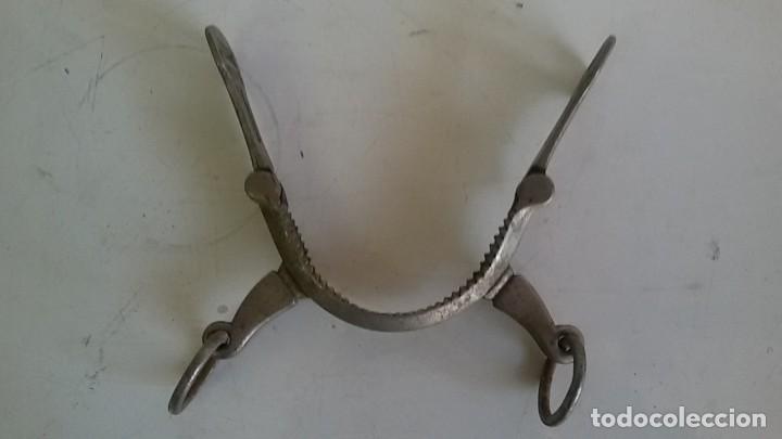 Antig&uuml;edades: Serreta para caballo. - Foto 2