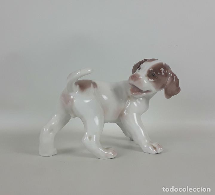 Antig&uuml;edades: POINTER. PORCELANA BING AND GRONDAHL. DINAMARCA. - Foto 1