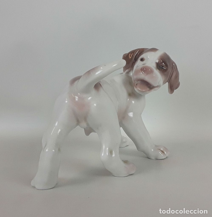 Antig&uuml;edades: POINTER. PORCELANA BING AND GRONDAHL. DINAMARCA. - Foto 2
