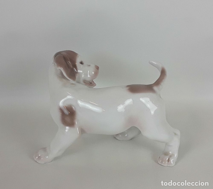 Antig&uuml;edades: POINTER. PORCELANA BING AND GRONDAHL. DINAMARCA. - Foto 3
