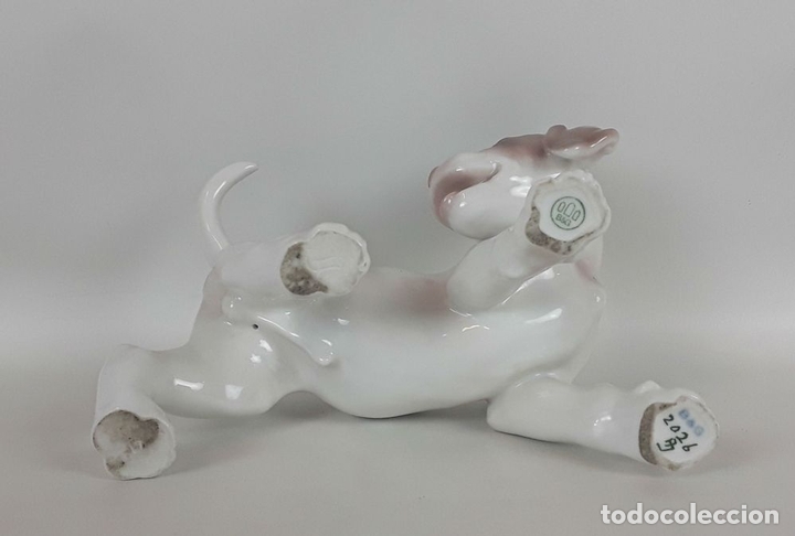 Antig&uuml;edades: POINTER. PORCELANA BING AND GRONDAHL. DINAMARCA. - Foto 5