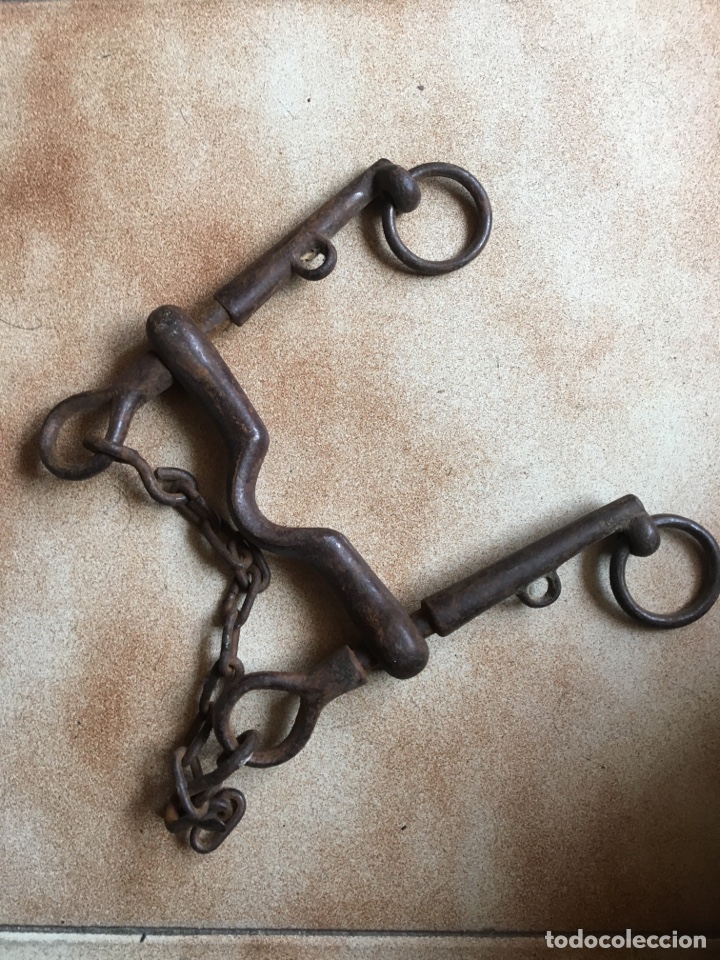 Bocado De Anilla Para Caballo, Bocado Para Caballo En Forma De H, Arnés