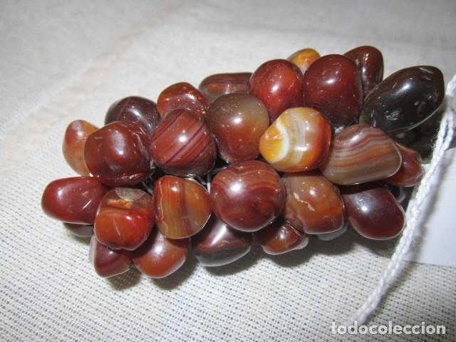 Antig&uuml;edades: Racimo de uvas de piedra, peque&ntilde;o. 8 cms. largo. - Foto 4
