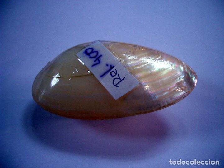 Antig&uuml;edades: Pastillero en concha de n&aacute;car y boca en plata. - Foto 2