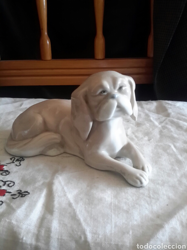 Perro de porcelana sellada