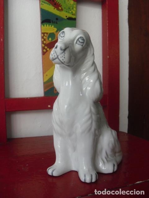Oggetti Antichi: PERRO COCKER CERAMICA. 22 CM.
