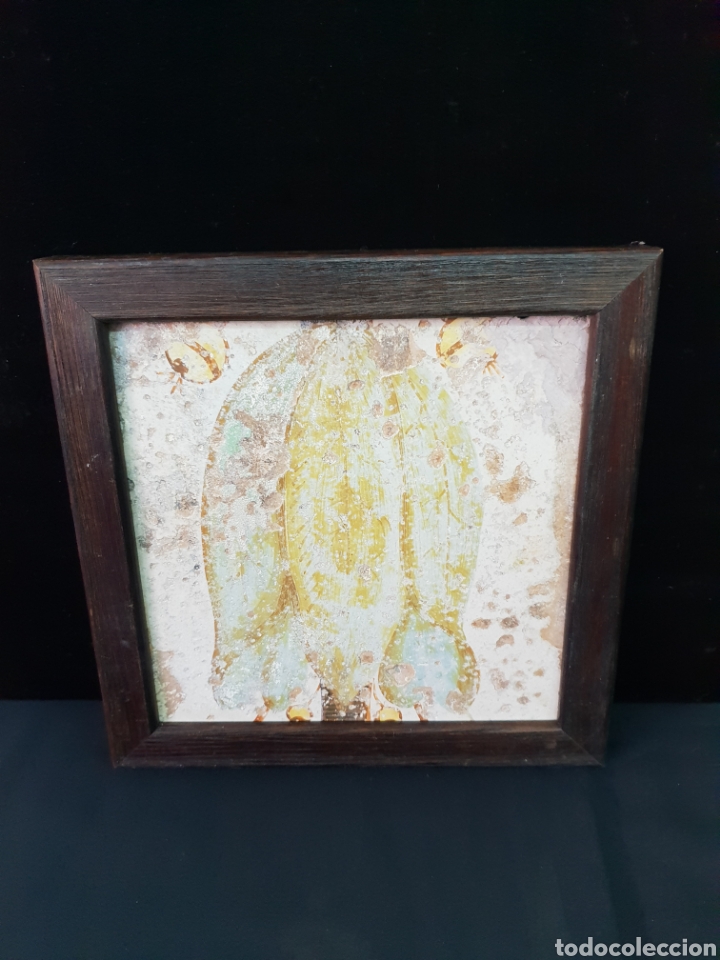 Antig&uuml;edades: Azulejo catal&aacute;n S.XIX - Foto 1
