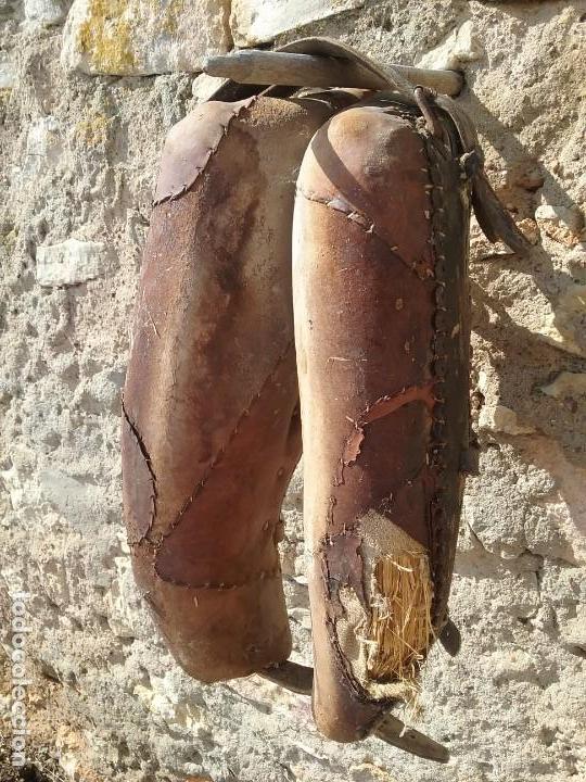 Antig&uuml;edades: Antiguo colleron - Foto 2
