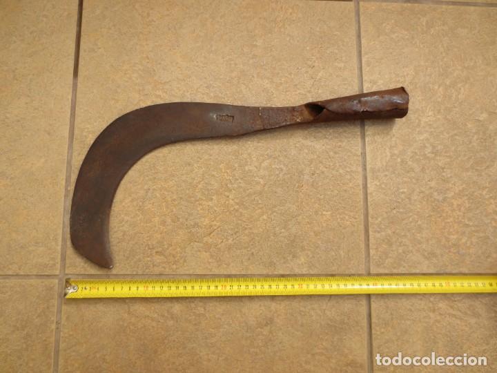 Antig&uuml;edades: ANTIGUA HOZ PARA DESBASTAR - 47cm - CON MARCA. - Foto 1
