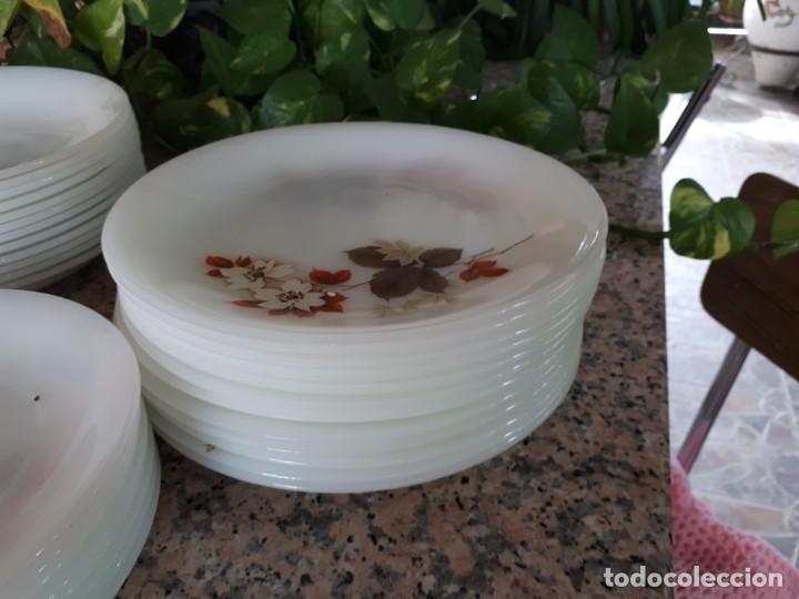 Antig&uuml;edades: antigua vajilla arcopal , flor de almendro - Foto 4