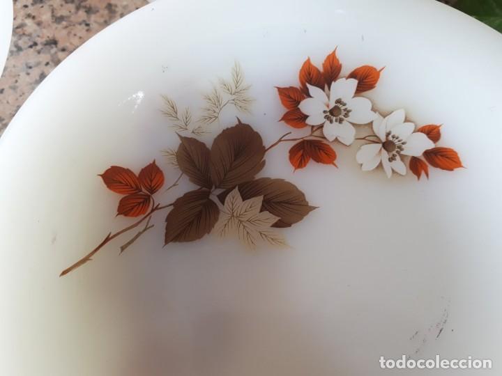 Antig&uuml;edades: antigua vajilla arcopal , flor de almendro - Foto 10