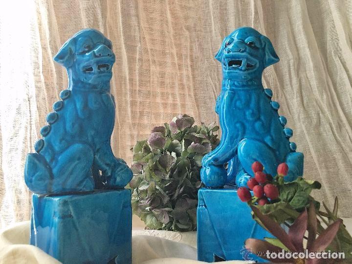 Antig&uuml;edades: Perros Foo, 33 cm; a&ntilde;o: 80-90 - Foto 4