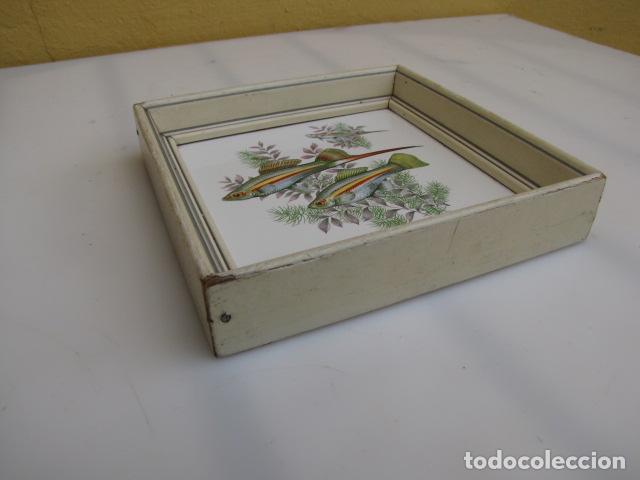 Antig&uuml;edades: Azulejo con miniatura de peces guppy. - Foto 3