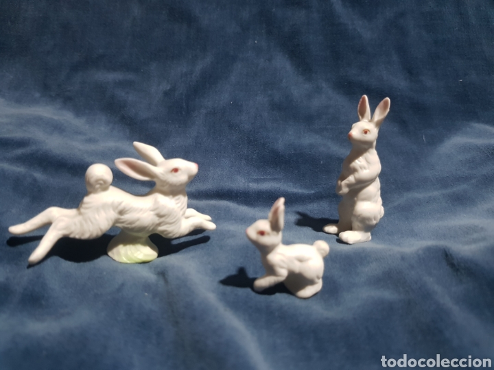 Antig&uuml;edades: Figuras de conejo en porcelana - Foto 1