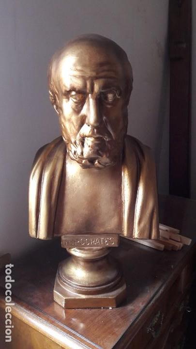 Oggetti Antichi: BUSTO HIP&Oacute;CRATES De Farmacia Principio siglo XX