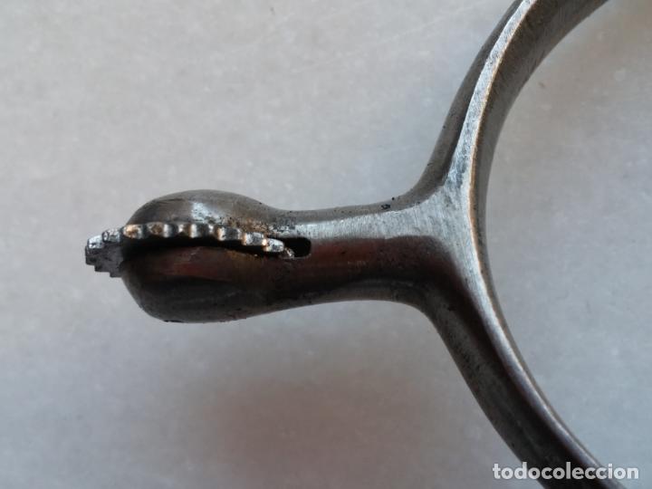 Antig&uuml;edades: Espuelas caballer&iacute;a - Foto 15