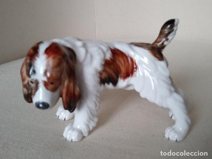Antig&uuml;edades: Perro de Cer&aacute;mica - Foto 1