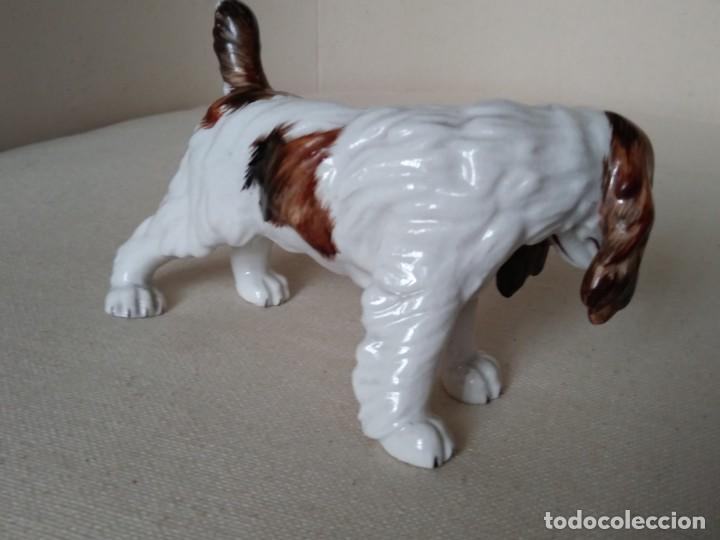 Antig&uuml;edades: Perro de Cer&aacute;mica - Foto 2