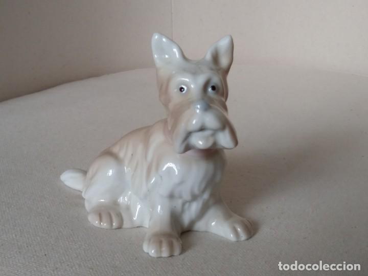 Antig&uuml;edades: Perro de cer&aacute;mica - Foto 1