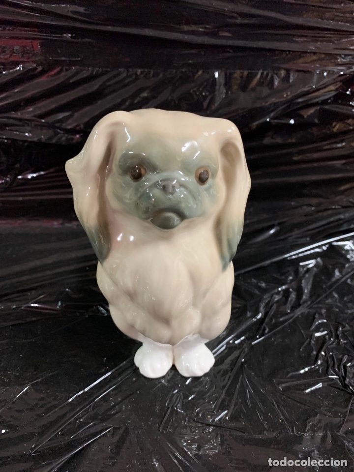 Antig&uuml;edades: Perrito de porcelana de Lladro - Foto 1