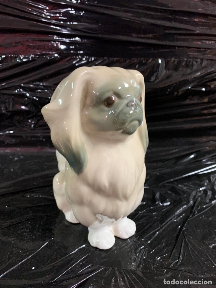 Antig&uuml;edades: Perrito de porcelana de Lladro - Foto 4