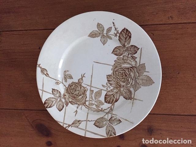 Antig&uuml;edades: PLATO SANDEMAN MACDOUGALL & Co. - Foto 1
