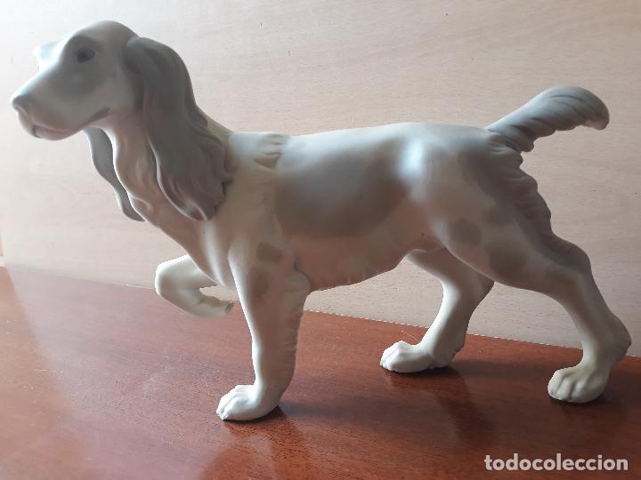 Antiquit&eacute;s: Antigua figura de porcelana biscuit- perro setter postura caza- sello made in spain