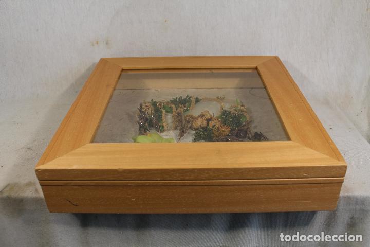 Antig&uuml;edades: cuadro vitrina en madera - Foto 3