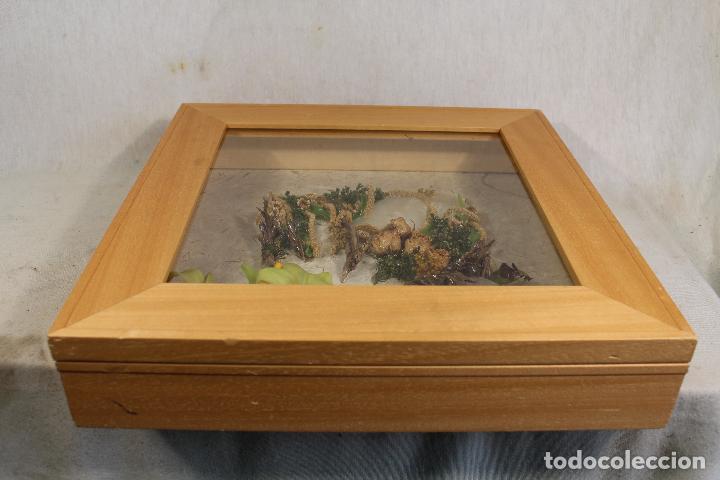 Antig&uuml;edades: cuadro vitrina en madera - Foto 5